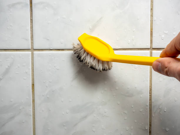 Best Industrial Mold Remediation in Mahomet, IL
