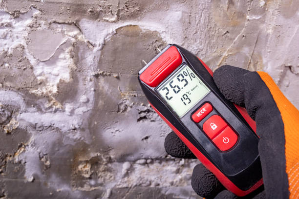 Best Basement Mold Remediation in Mahomet, IL