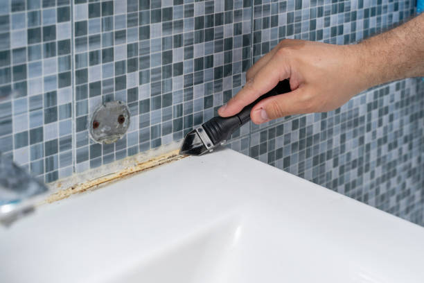 Best Mold Testing and Inspection Services in Mahomet, IL